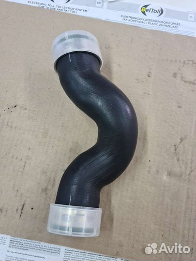 Патрубок интеркулера нижний Transporter T5