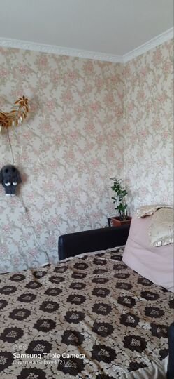 Дом 46,2 м² на участке 6 сот.