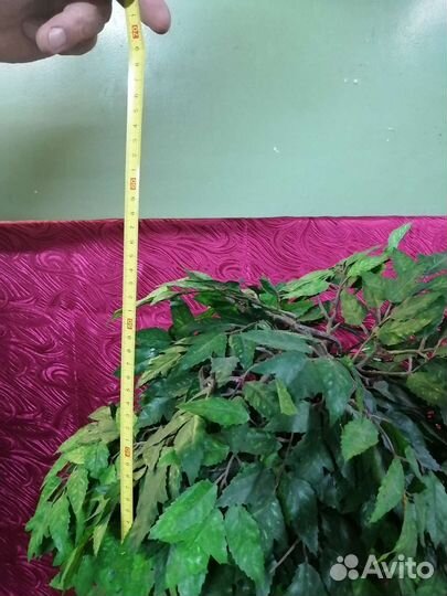 Домашний фонтанчик