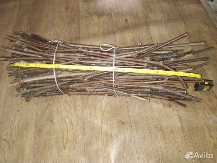 Черенки (чубуки), саженцы подвоя Кобер 5 бб