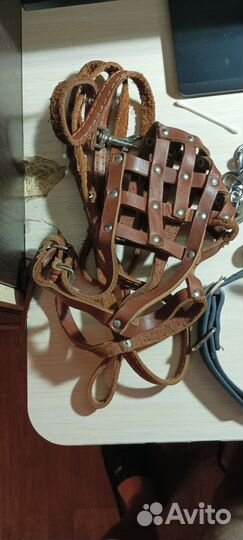 Шлейка для крупной собаки(овчарка немецкая)