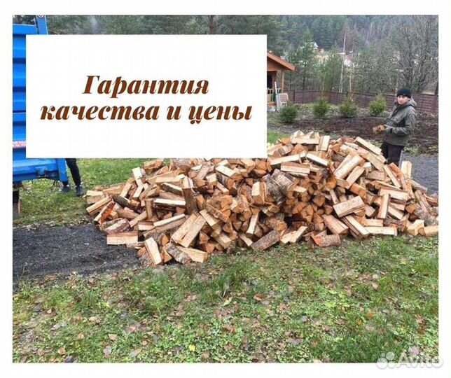 Дрова колотые березовые