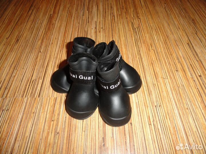 Новые сапожки и складная поилка для собак