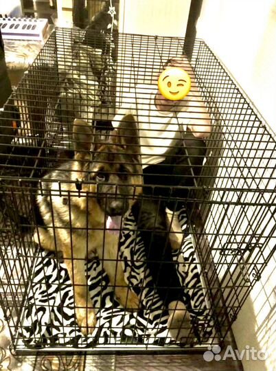 Клетка для собак 6