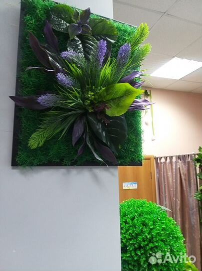 Фитокартина из декоративных растений