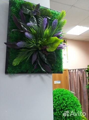 Фитокартина из декоративных растений