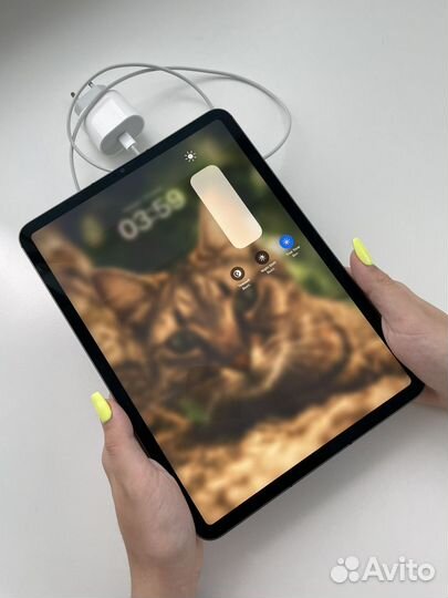 iPad Pro 11 M1 256gb Wi-Fi+ Cellular