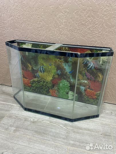 Аквариум