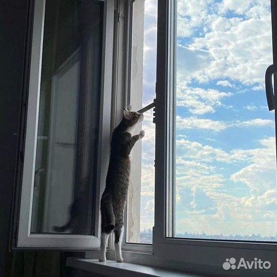 Москитная сетка Антикошка