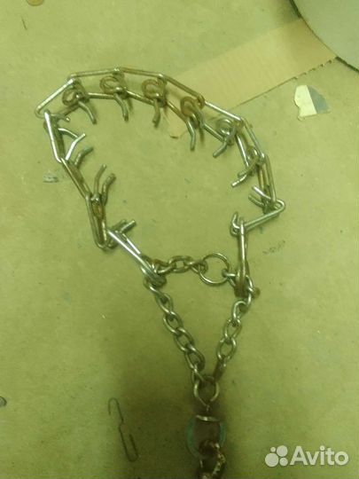 Строгий ошейник