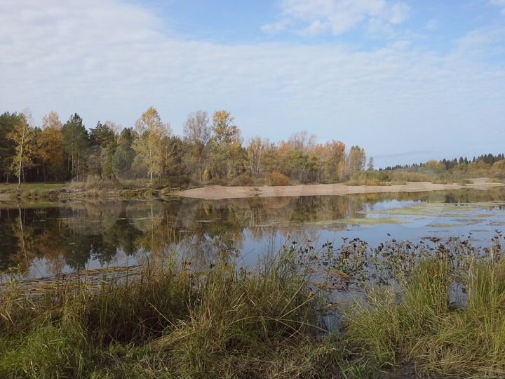 Участок 2,5 га (СНТ, ДНП)