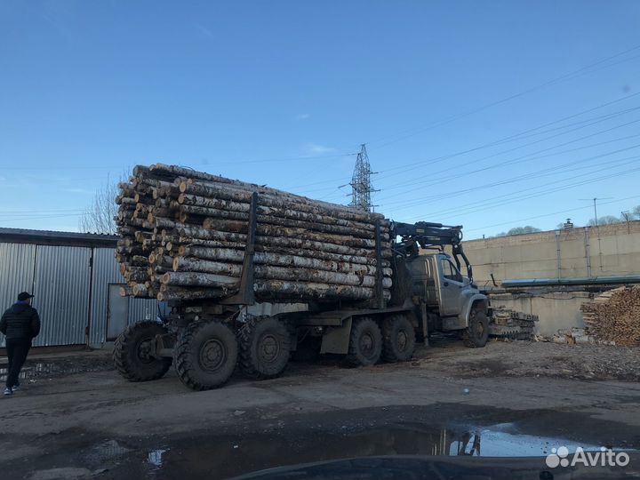 Дрова береза