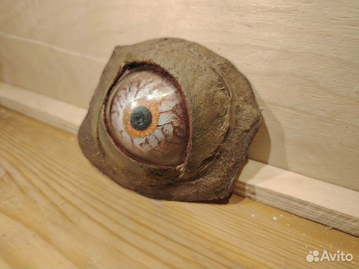 Глаз плоти из Сталкер Тень Чернобыля