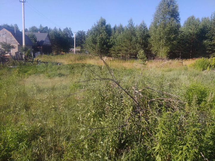 Участок 10 сот. (СНТ, ДНП)