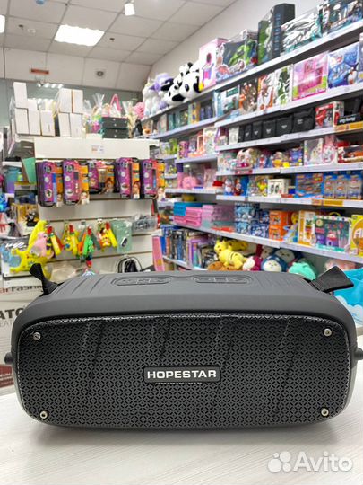 Колонка hopestar A20