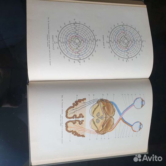 Глазные болезни В. Архангельский книга