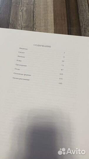 Анатомия человека для художников