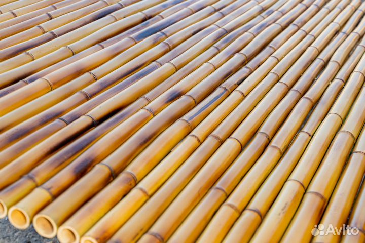 Бамбуковые стволы