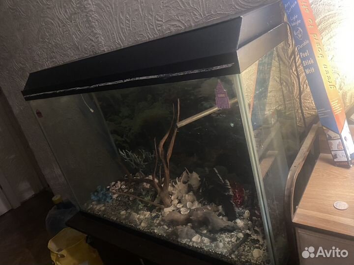 Аквариум