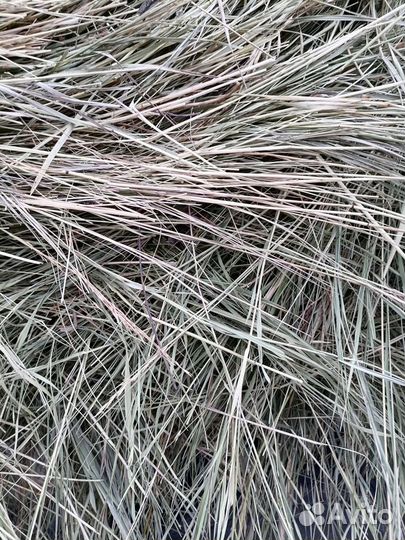 Сено рулоны