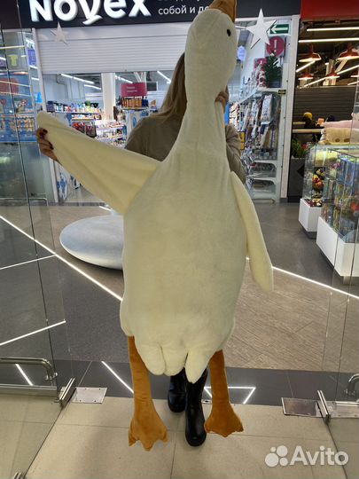 Гусь обнимусь