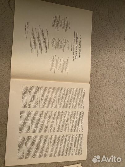 Моцарт Мнимая Садовница