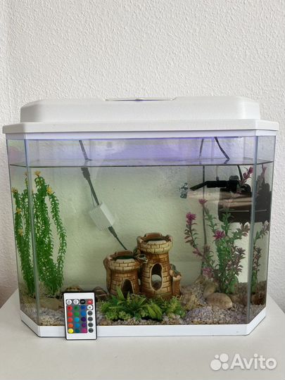 Аквариум All Inclusive