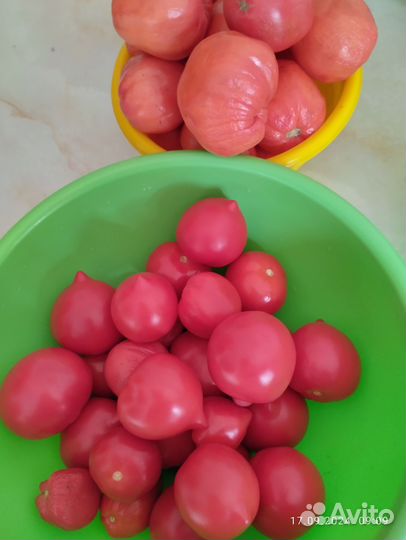 Картофель домашний, тыква,хреновина