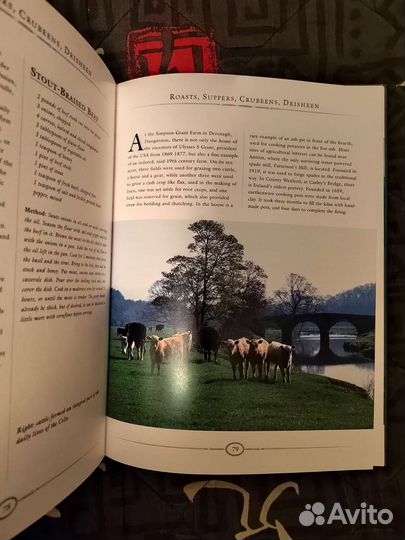 A taste of old Ireland