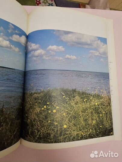 Книга природа Подмосковья Завидово