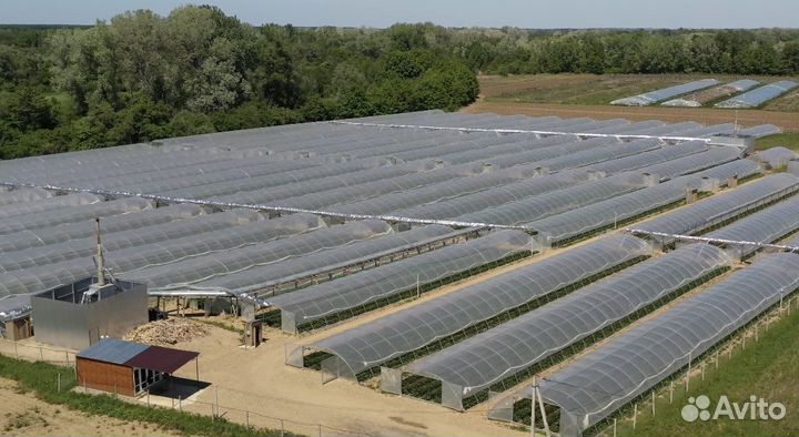 Готовый бизнес,сельское хозяйство