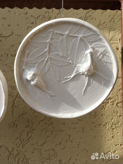 Ботанический барельеф