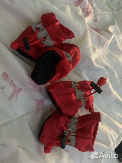 Обувь для животных