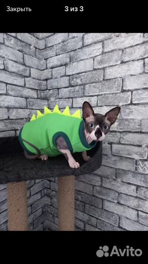 Одежда для кошек кофта