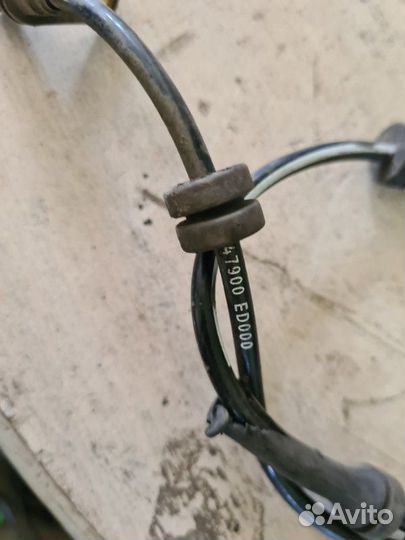 Датчик ABS задний Nissan Tiida C11 2012