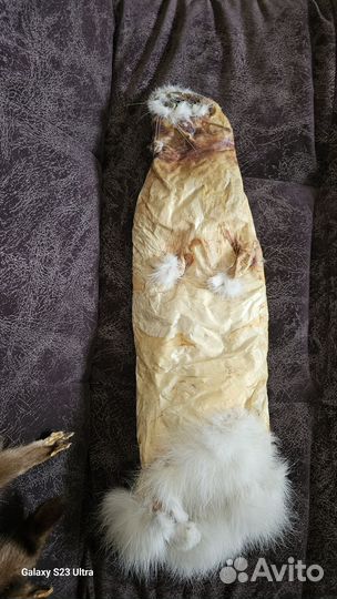 Шкура зайца