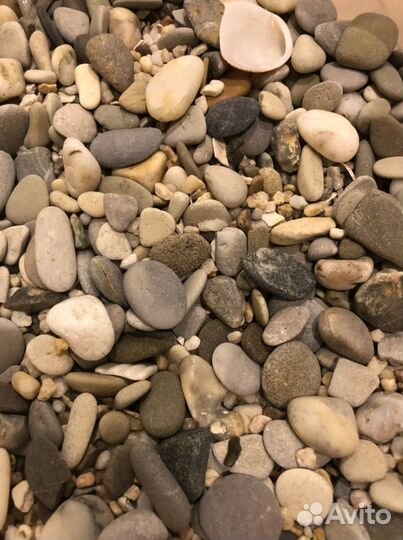 Набор для аквариума