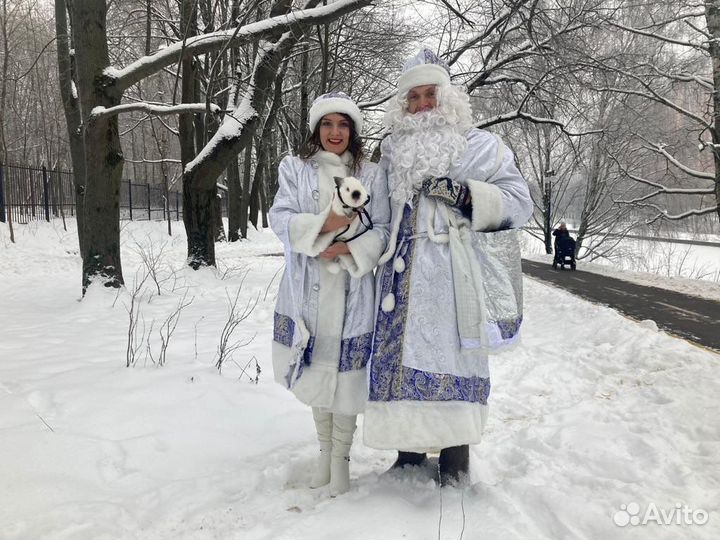 Дед Мороз,Снегурочка и кролик Москва, Химки