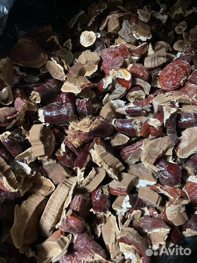 Рейши (трутовик лакированый / линчи)