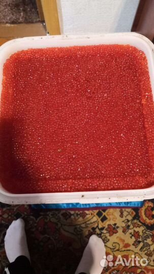 Красная икра 2023