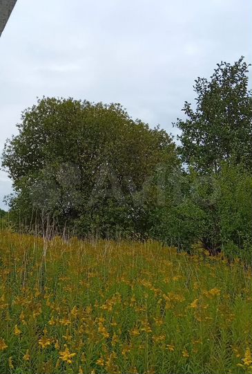 Участок 6 сот. (СНТ, ДНП)