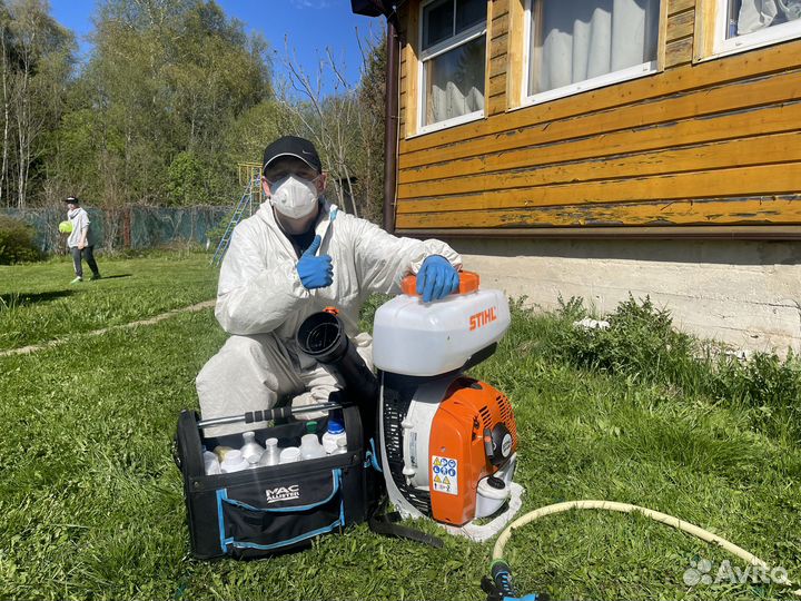 Уничтожение клопов, тараканов, мышей. Дезинфекция