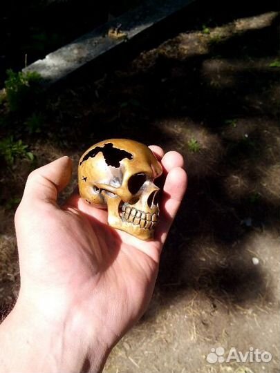 Бронзовый череп