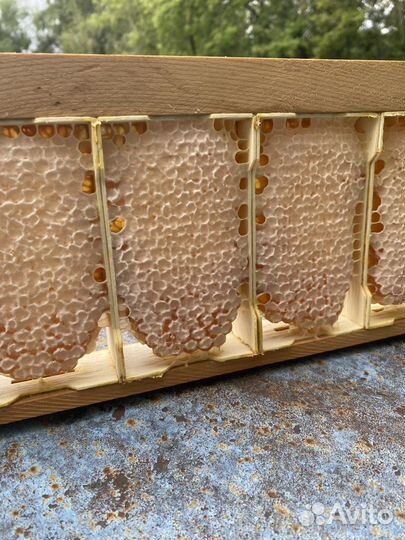 Сотовый мед