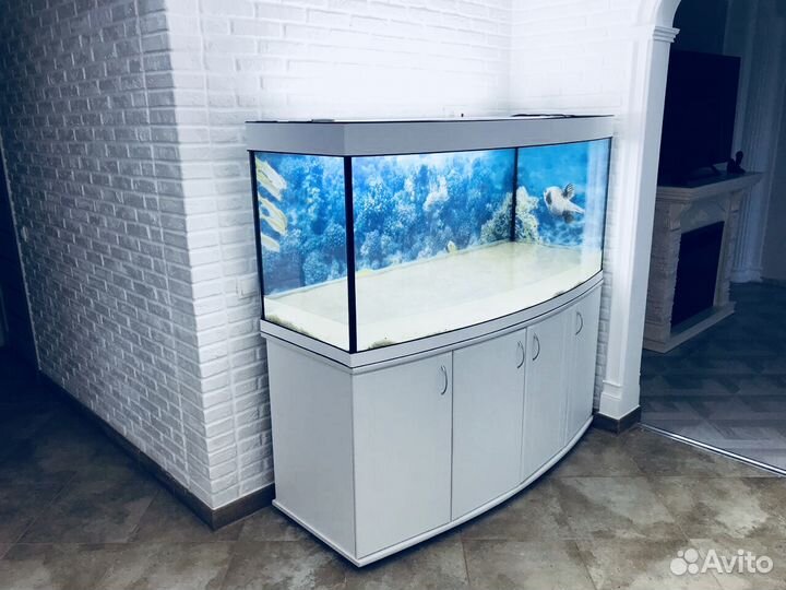 Аквариум