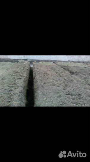 Бара траншеекопатель услуги