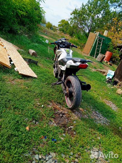 Honda patron sport 200