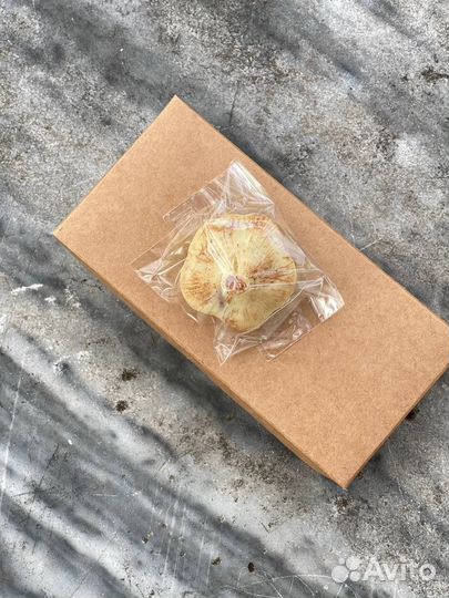 Шоколадный чеснок на Хэллоуин