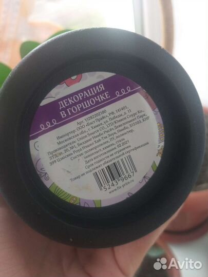 Декорация в горшочке из fix price