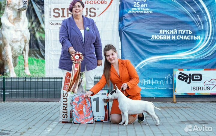 Услуги хендлера